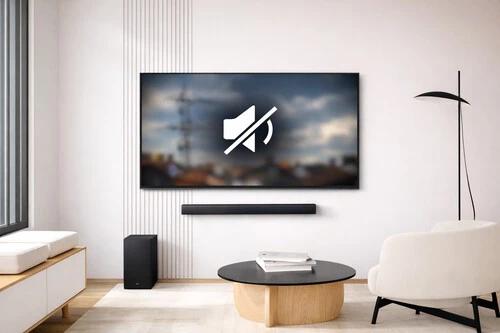 IPTV sound not working on Smart TV with muted speaker icon